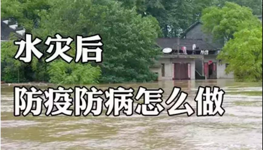 &#80;&#84;&#30495;&#20154;&#65288;&#20013;&#22269;&#65289;&#23448;&#26041;&#32593;&#31449;