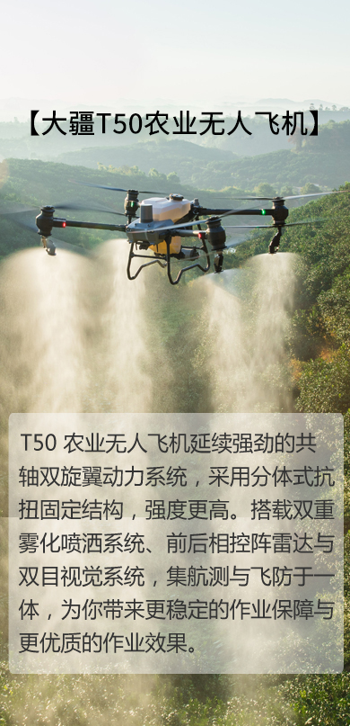 &#80;&#84;&#30495;&#20154;&#65288;&#20013;&#22269;&#65289;&#23448;&#26041;&#32593;&#31449;