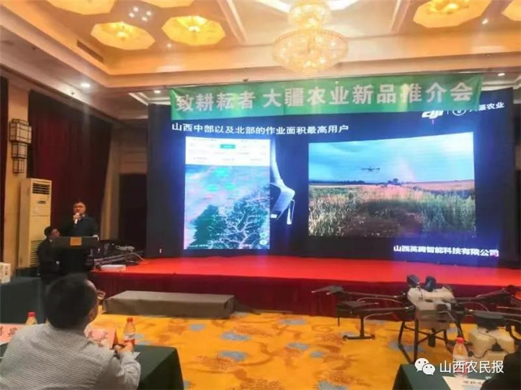 &#80;&#84;&#30495;&#20154;&#65288;&#20013;&#22269;&#65289;&#23448;&#26041;&#32593;&#31449;